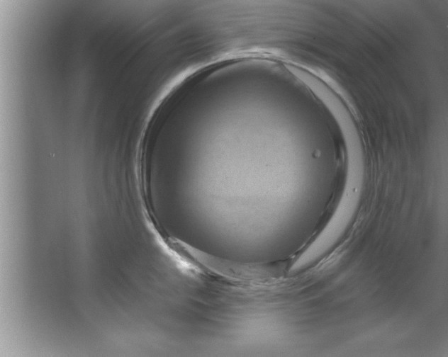 X0000067481054200604281915