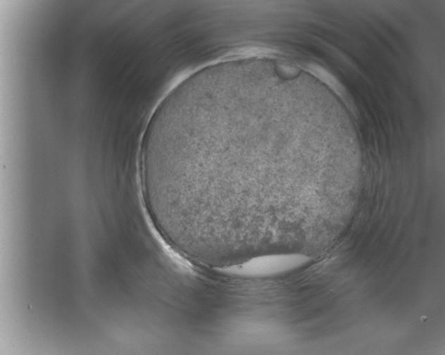 X0000067481055200604281915