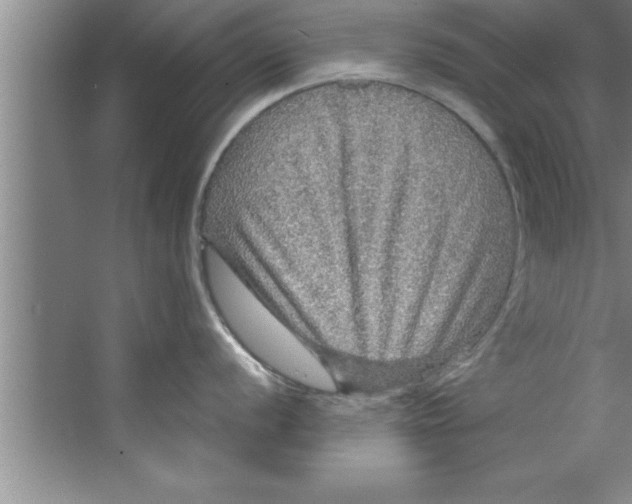 X0000067481056200604281915