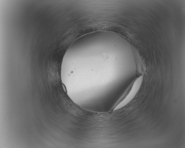 X0000067481058200604281914