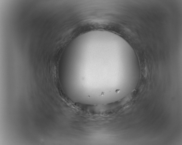 X0000067481061200604281914