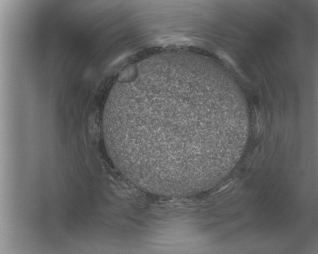 X0000067481063200604281914