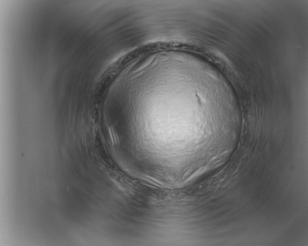 X0000067481064200604281914