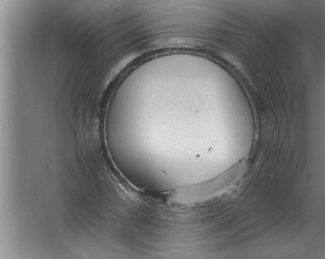 X0000067481066200604281914