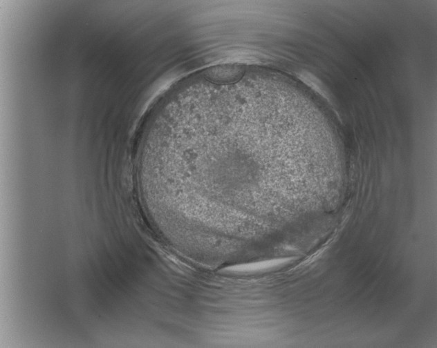 X0000067481067200604281914