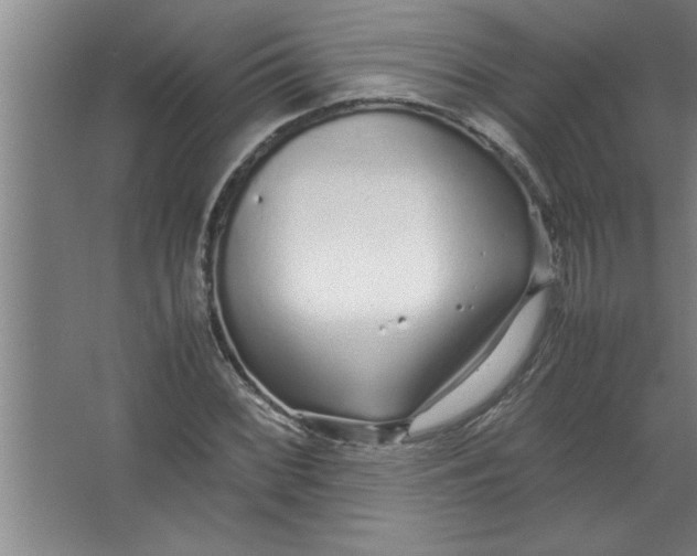 X0000067481068200604281914