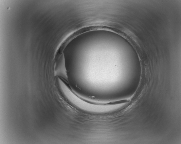 X0000067481069200604281914