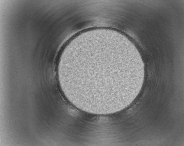 X0000067481070200604281914