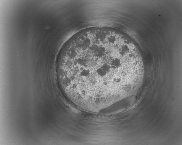 X0000067481071200604281914