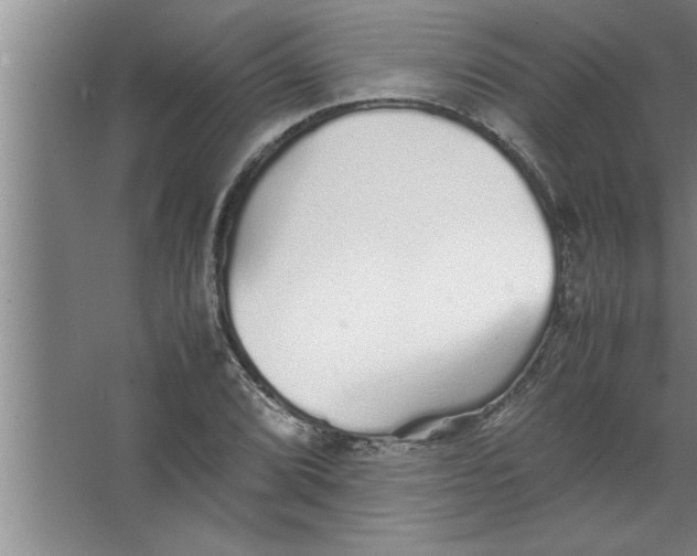 X0000067481072200604281914