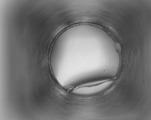 X0000067481073200604281914