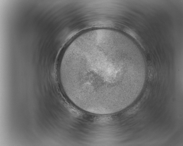 X0000067481074200604281914