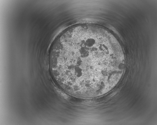 X0000067481075200604281914