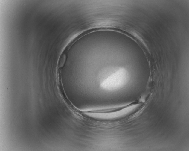 X0000067481077200604281914