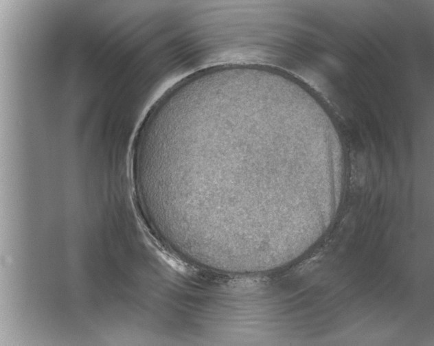 X0000067481078200604281914