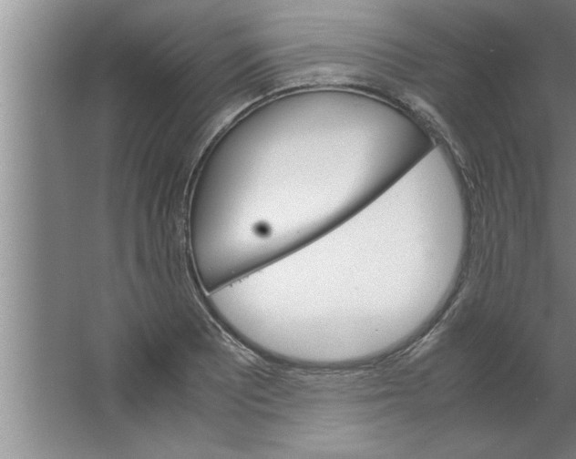 X0000067481081200604281914