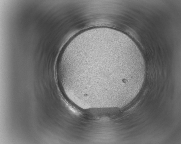 X0000067481082200604281914