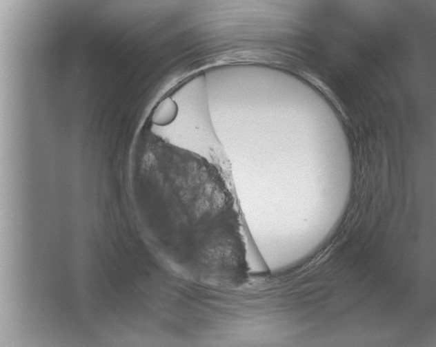 X0000067481083200604281914