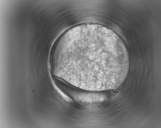 X0000067481084200604281914