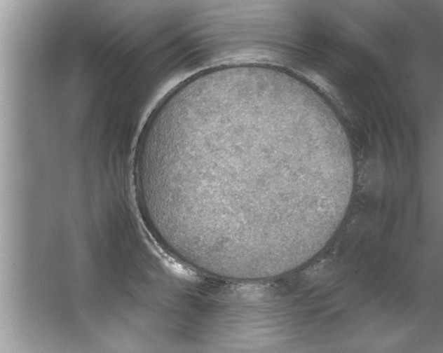 X0000067481086200604281914