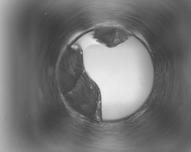 X0000067481087200604281914