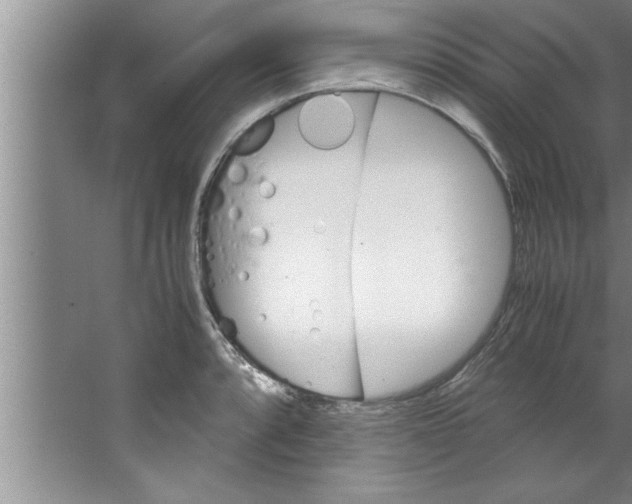 X0000067481088200604281914