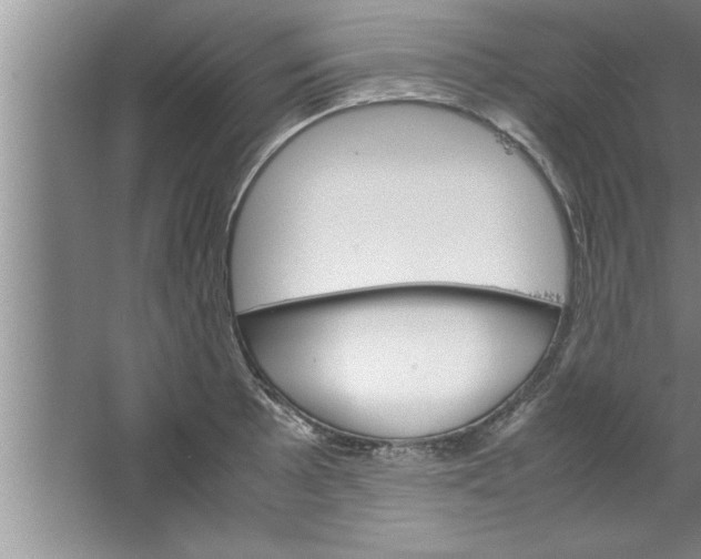 X0000067481089200604281914