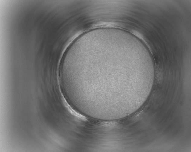 X0000067481090200604281914