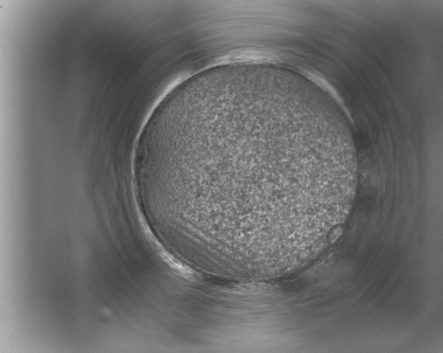 X0000067481091200604281914