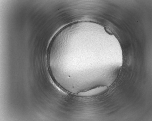 X0000067481092200604281914