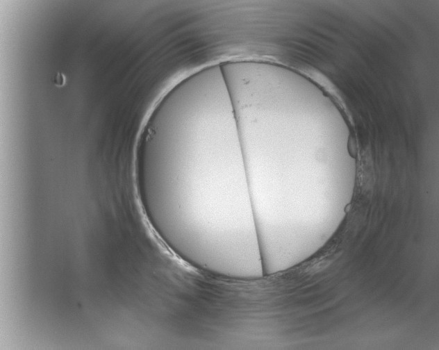 X0000067481096200604281914