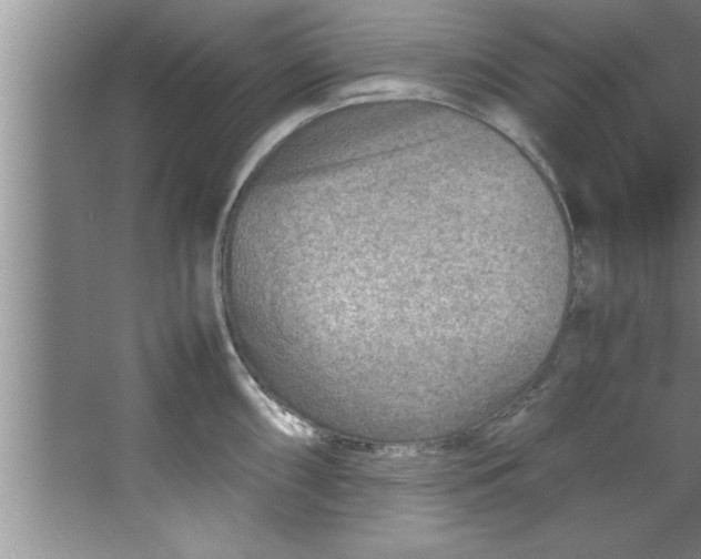 X0000067481098200604281913