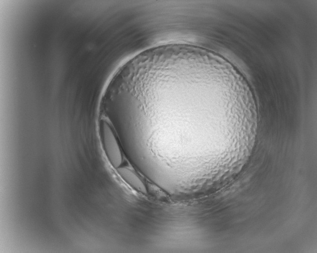 X0000067481104200604281913