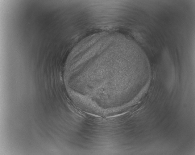 X0000067481106200604281913