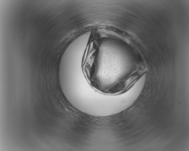 X0000067481110200604281913