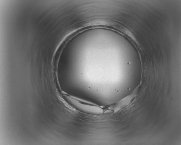 X0000067481116200604281913