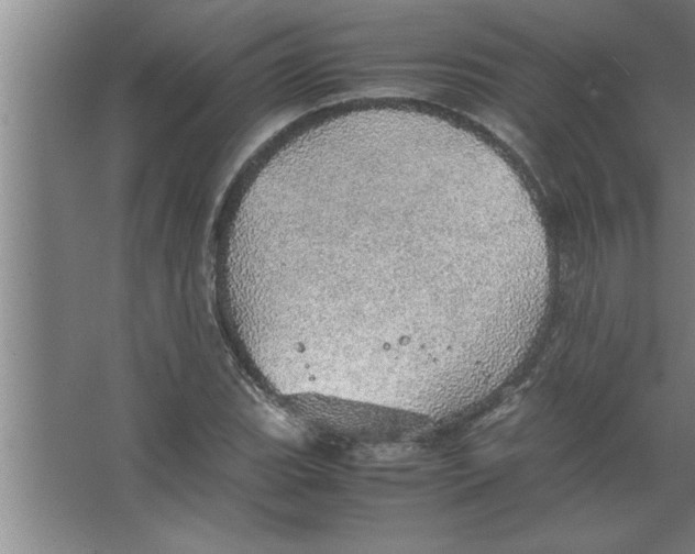 X0000067481119200604281913