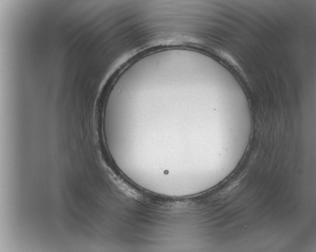 X0000067481122200604281913