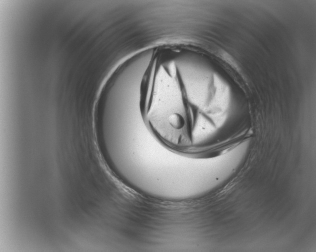 X0000067481124200604281913