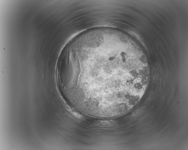 X0000067481125200604281913