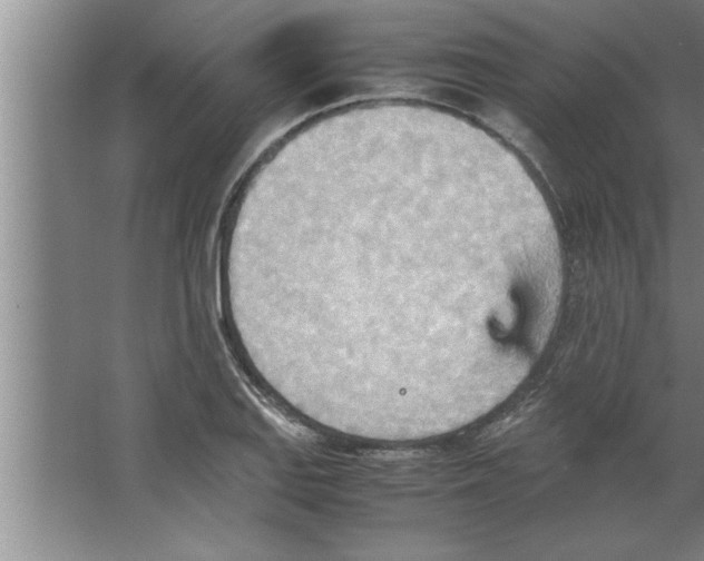 X0000067481127200604281913