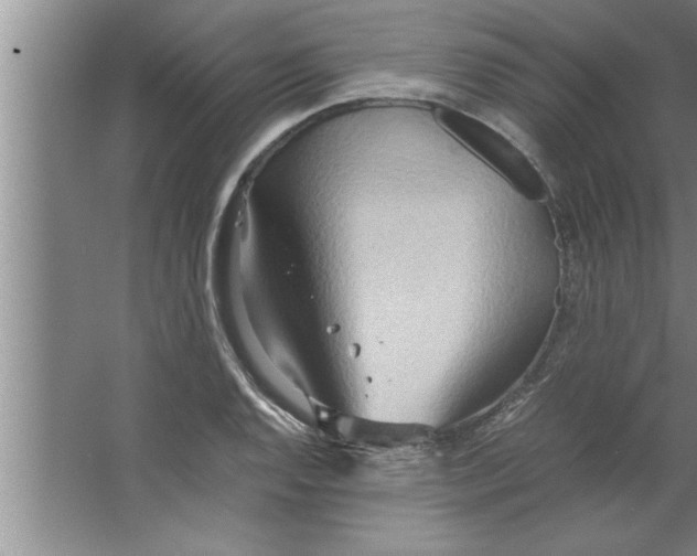 X0000067481128200604281913