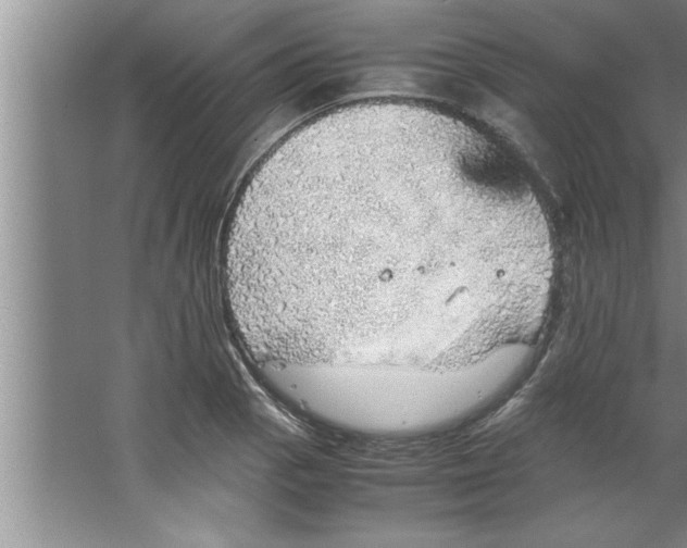 X0000067481129200604281913