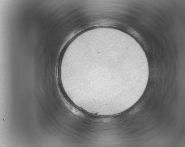 X0000067481130200604281913