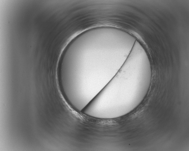 X0000067481133200604281913