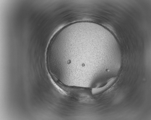 X0000067481135200604281913