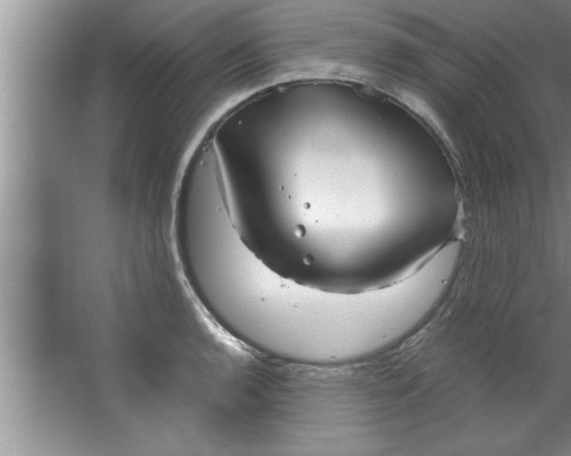 X0000067481136200604281913