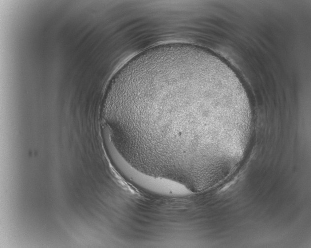 X0000067481137200604281913