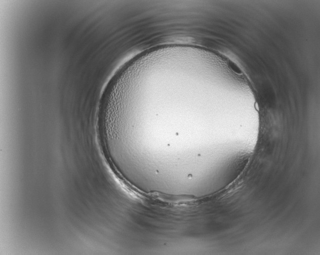 X0000067481139200604281913