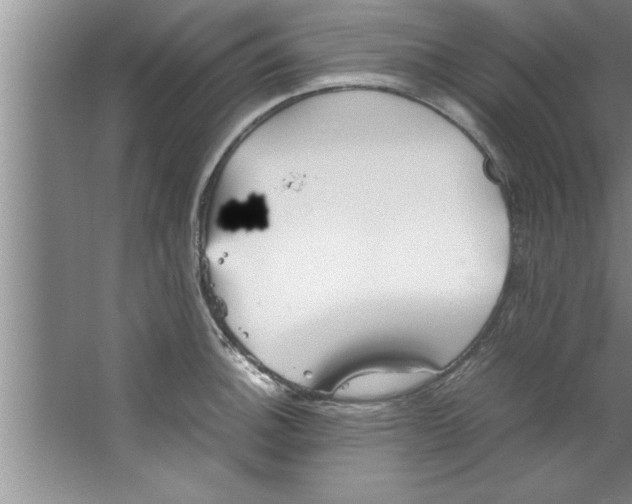 X0000067481140200604281913